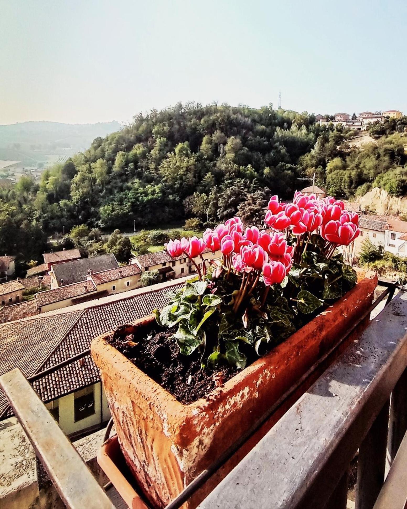 Teresa Al Belvedere Rooms&Holidayapartments Camere&Appartamenti Castellinaldo Kültér fotó